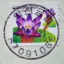 익산금마우체국 이미지