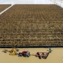 홍수농장 이미지