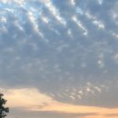 산동교 친수공원 축구장 이미지