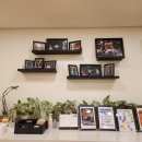 댄스스포츠(입문반) 이미지