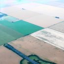 기타 조형물 이미지