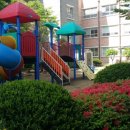 신양초등학교 병설유치원 이미지