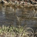 성내천공원 이미지