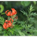 인화농장 이미지