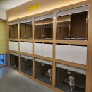 옐레드 부천 신중동점 이미지