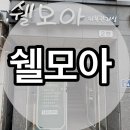 쉘모아 이미지