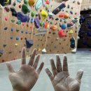 크로플덕오리아가씨 속초점 | 티라미수케익