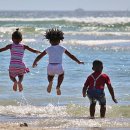 맑은눈 동물병원 이미지