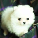 우리 어린이집 이미지