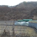 사시사철농원