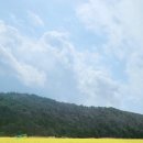 웅천읍 노천리534-1 이미지