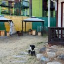 글램독 경주 B동 이미지