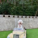 열린바다로펜션A동 | 강원도 강릉역 신상 애견동반펜션 &#39;강릉왓댕&#39; A동 개별마당 자쿠지