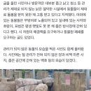 비쩍 마른 사자, 덥수룩한 양... ‘동물 감옥’ 민원 쏟아진 김해 동물원 이미지