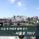 서울 도심 속 야경과 함께 걷기 서울로 7017 기사 이미지