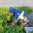 경석농장 이미지