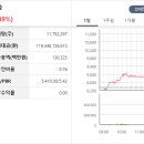 파인인터내셔날