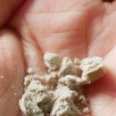 굳디컴퍼니 이미지