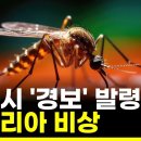 고양시 '경보' 발령, 말라리아 비상 이미지