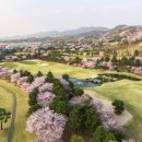 제일전장 이미지