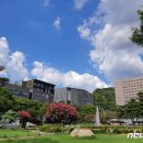 7세 유치부 동화구연 이미지