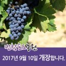 번창농원 네이버블로그