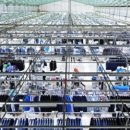 강남대로 581 (1) 이미지