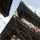 동명불원 이미지