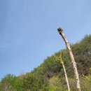 동천농장 이미지