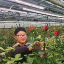 스마트 LED 이미지