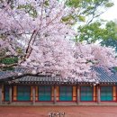 신산보건진료소 이미지