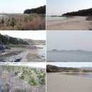 해양파출소 옆 공터 이미지