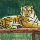 아트-아이 이미지