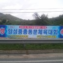 앙성중학교 이미지