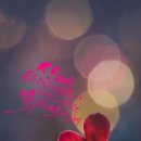 주식회사 백야 이미지