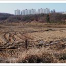 광성부동산중개사무소 이미지