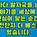 온산(병설)유치원 이미지