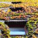 문소아과의원 이미지