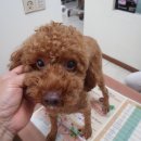 하이마트 앞 이미지