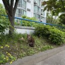강남 미술학원 원데이클래스: 세계미술교습소
