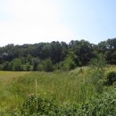 서도면-1 이미지