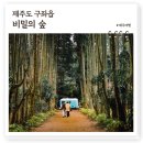 (유)초지 | 제주 안돌오름 비밀의숲, 겨울 제주 구좌읍 동쪽여행 추천 SNS 사진명소 카페