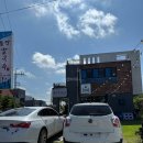 돌담 | 제주 세화 고기칼국수 보말칼국수 돌담칼국수 내돈내산 후기(메뉴, 주차)