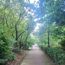 마곡엠밸리7단지(아) | 마곡중심마곡엠밸리7단지 아파트8월시황 매매전세시세