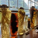 별난동치미국수 이미지