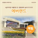 튤립 - 해운대구 세실로 137 | 4살 아이랑 에버랜드 튤립축제 후기 유아 놀이기구