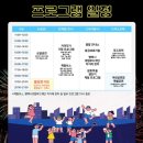평택호길 | 2025 평택호물빛축제 :: 드론쇼, 불꽃놀이 후기 및 주차장 추천까지!