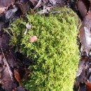 남명초교 이미지