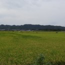 진경여자중학교 이미지
