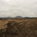 표선면-12 이미지